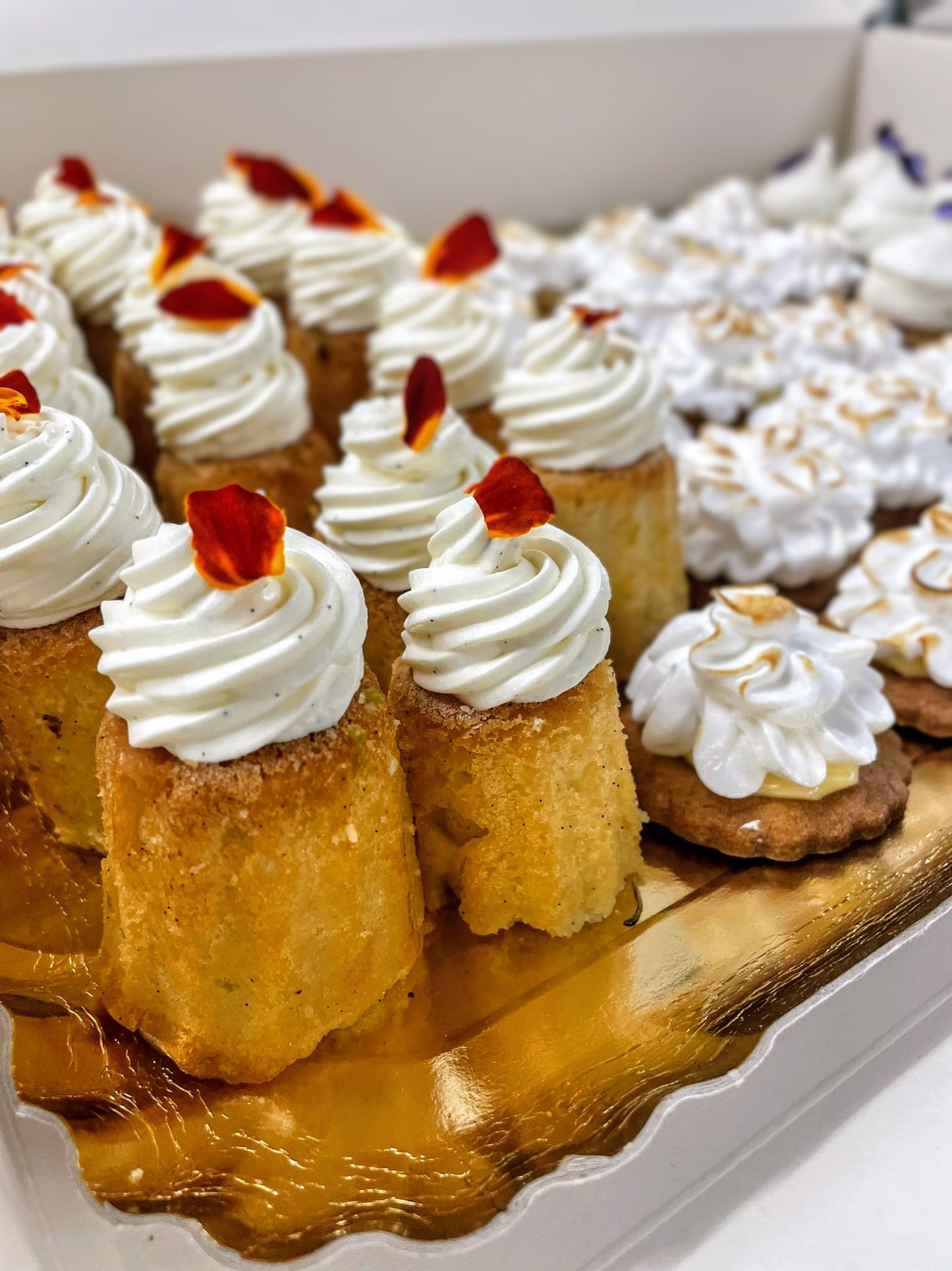 Assortiment de pâtisseries fines